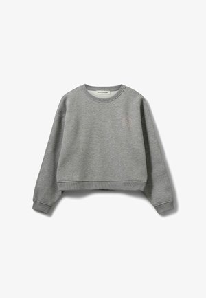 Siva majica z dolgimi rokavi in okroglim ovratnikom, s rebrastimi manšetami in robom, s majhnim okroglim logotipom na levi strani prsnega koša.