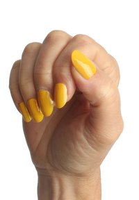 Immagine in miniatura 5