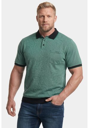 Blond mężczyzna z brodą, noszący zieloną koszulkę polo z krótkim rękawem, czarnym kołnierzykiem i krawędziami rękawów oraz niebieskie dżinsy, stojący z jedną ręką w kieszeni.