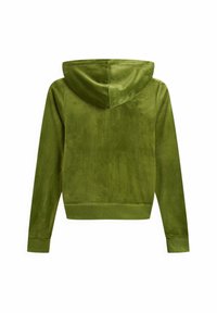 Green velour hoodie with a soft texture, featuring a hood and long sleeves. The design includes a cropped cut and ribbed cuffs.