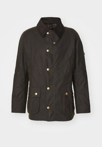 Selecionado, olive