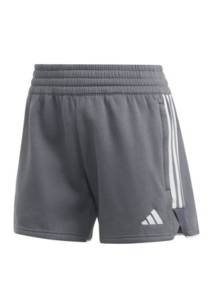 TIRO 23 LEAGUE - Pantaloncini sportivi - grau