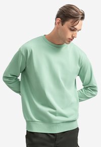 Felpa verde chiaro con maniche lunghe, scollo a costine e orlo a costine. Texture liscia con vestibilità comoda. Indossata sopra pantaloni scuri.