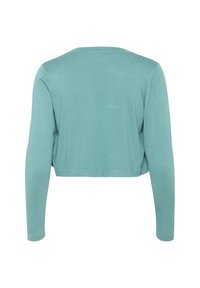 Gekürzter, langärmeliger Pullover in hellblau, mit einer glatten Textur und einem runden Halsausschnitt, der ein sanft schimmerndes Finish aufweist.