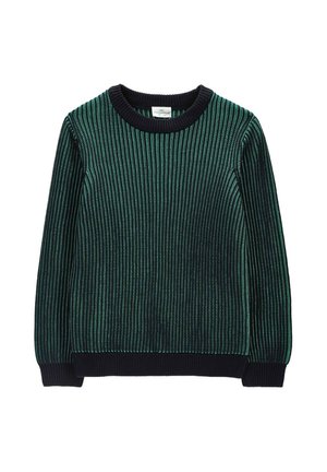 Coccodrillo, - Sweter