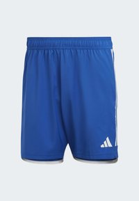 adidas Performance TIRO 23 COMPETITION MATCH  - Korte broeken - royal blue   white