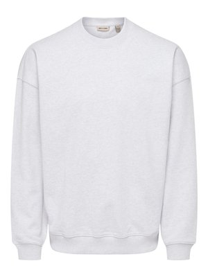 Hellgraues Sweatshirt mit Rundhalsausschnitt, langen Ärmeln, gerippten Bündchen und Saum sowie einem kleinen Markenetikett innen am Kragen.