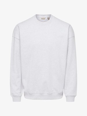 Hellgraues Sweatshirt mit Rundhalsausschnitt, langen Ärmeln, gerippten Bündchen und Saum sowie einem kleinen Markenetikett innen am Kragen.