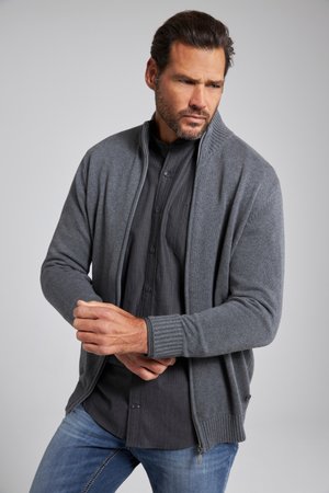 JP1880, MIT STEHKRAGEN ZIPPER - Kardigan - grau melange