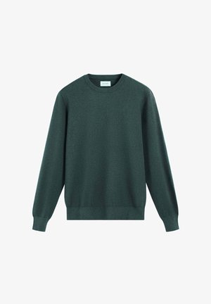 Zachte, gemêleerde groene breisweater met een ronde hals, lange mouwen en ribgebreide manchetten en zoom. Eenvoudig ontwerp zonder patronen of versieringen.