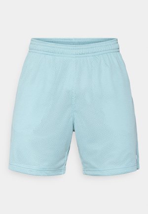 Hellblaue Mesh-Sportshorts mit elastischem Bund, atmungsaktivem Material und lockerem Schnitt, seitlichen Taschen und ohne sichtbare Muster.