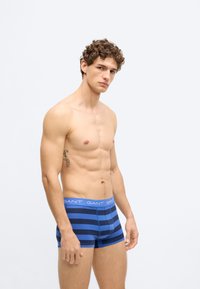 Modre boksarice s črtami v različnih odtenkih modre, narejene iz mehkega blaga. Imajo elastični pas z blagovno znamko, prilegajoč se kroj in dolžino do sredine stegna.