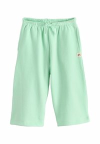 Neselectat, mint green