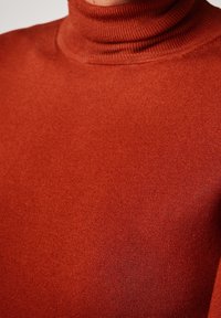 Pull à col roulé couleur rouille en tissu tricoté lisse et texturé, présentant une coupe ajustée avec des accents côtelés au col.