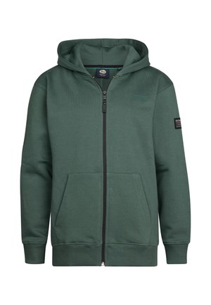 HOODED ZIP SWEATER ROGUE - Sweater met rits - green smoke