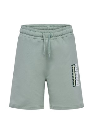 TUKAS UNISEX - Korte sportsbukser - iceberg green