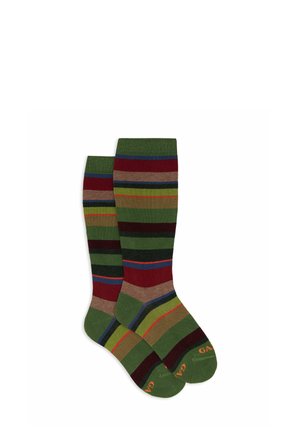Calze alte fino al ginocchio di colore verde con strisce multicolori (rosse, blu, marroni) e punta in contrasto. Materiale in misto cotone; parte superiore a costine.