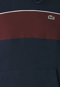 Felpa blu navy con una larga striscia color bordeaux, piping bianco e un piccolo logo del coccodrillo verde di Lacoste sulla parte alta del petto. Presenta una tasca frontale.