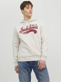 Felpa grigia chiara realizzata in tessuto morbido, con un logo frontale in rosso e blu navy. Il design presenta un cappuccio regolabile con coulisse e polsini a coste.