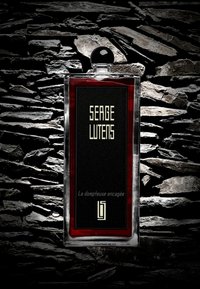 Bottiglia di profumo in vetro con un design rettangolare elegante. Etichetta nera con testo dorato, accentuazione rossa alla base e un tappo nero rotondo.