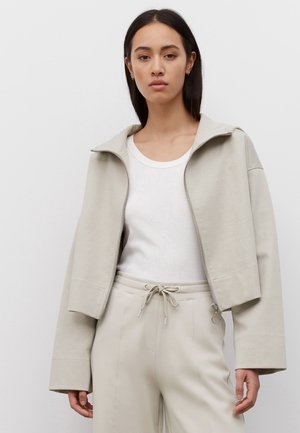 Hoodie - gray gull