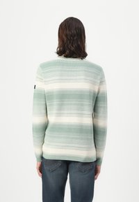 TOM TAILOR IRREGULAR STRIPES CREWNECK  - Strikkegenser - green/white