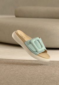 Επιλέχθηκε, glacier