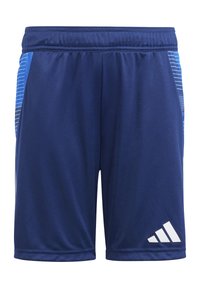 Marineblaue Sportshorts aus glattem Material, mit zwei Seitentaschen und einem weißen Logo am unteren rechten Saum. Vertikale blaue Akzente.