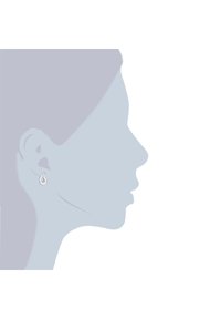 Pendientes de plata en forma de gota con una superficie texturizada y un pequeño adorno circular, exhibidos sobre una silueta en perfil.