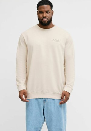 PLUS SIZE - Sweatshirt - moonbeam