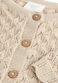 Next POINTELLE REGULAR FIT - Cardigan - neutral