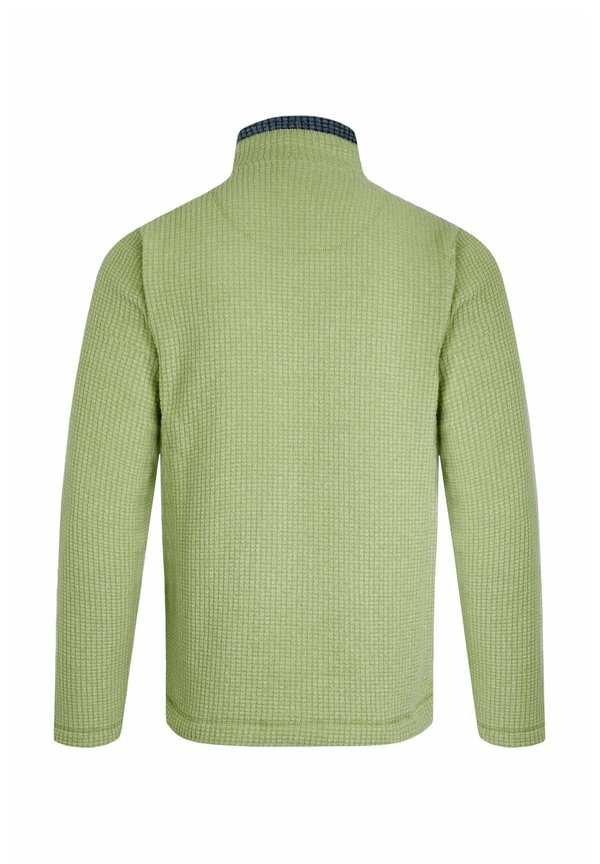 NEWARK 1/4 ZIP GRID WASHED - Fleece jumper - tarragon2