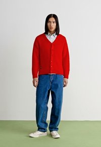 Manastash ABERDEEN KURTIGAN - Chaqueta de punto - red