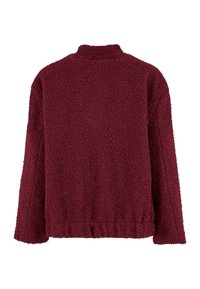 Giacca in pile di un rosso scuro con texture, maniche lunghe, colletto alto e orlo arricciato elasticizzato, vista dal retro su sfondo bianco.