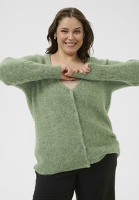 Cardigan tricotat verde deschis, pufos, cu decolteu în V, mâneci lungi și nasturi în față. Are o croială lejeră și margini și tiv striate.