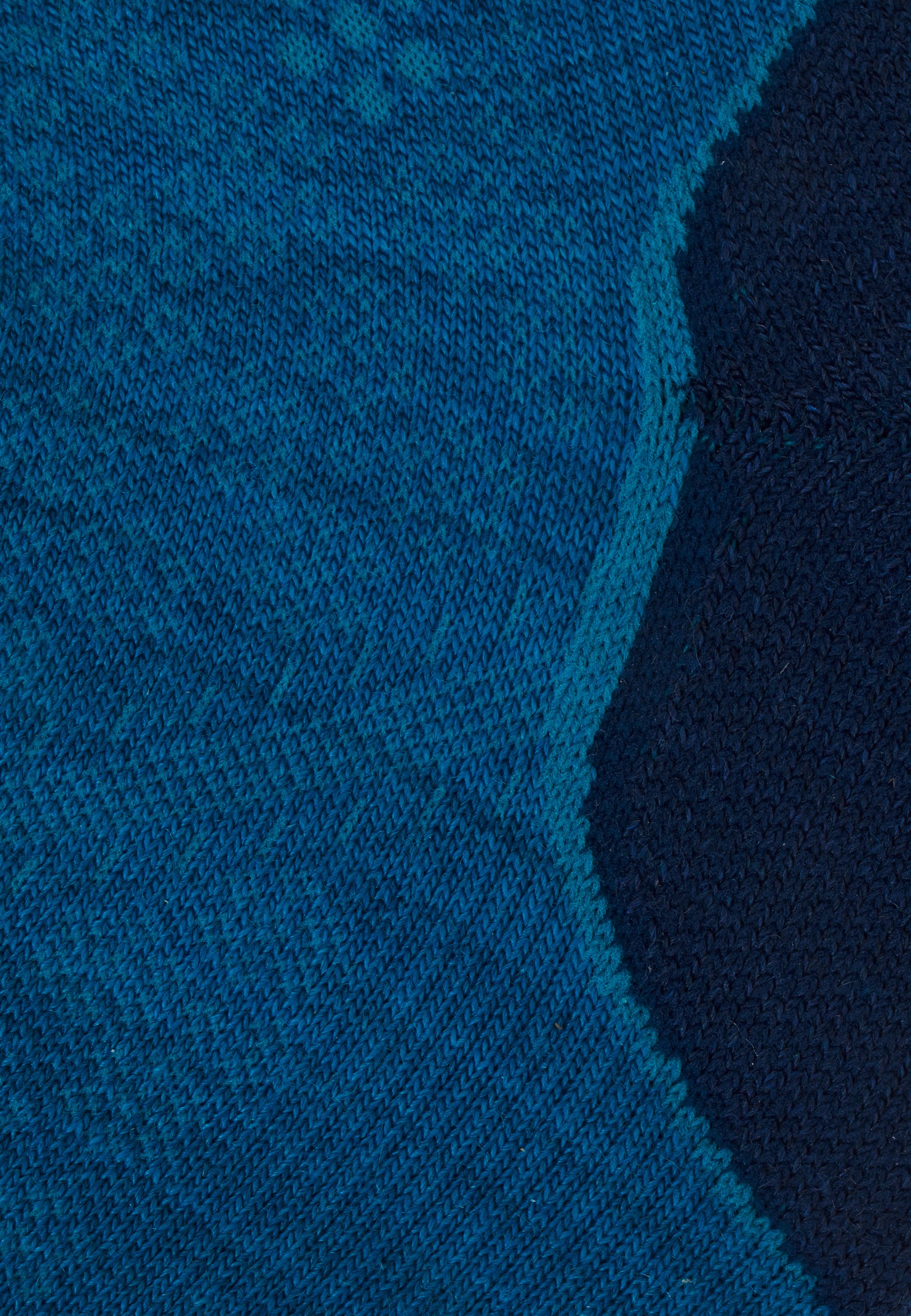 smartwool phd run light elite low cut