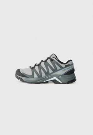 X ADVENTURE RECON GTX - Hiking shoes - grey/blue