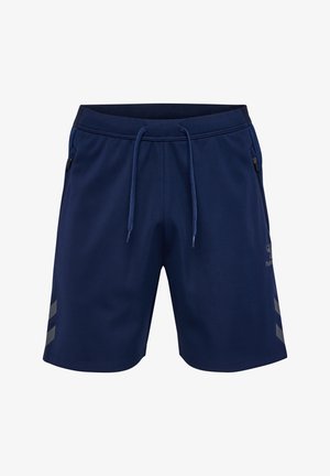 Dunkelblaue Sportshorts mit einem Kordelzugbund, seitlichen Reißverschlusstaschen und reflektierenden grauen Streifen an den Seiten. Aus glattem Material gefertigt.