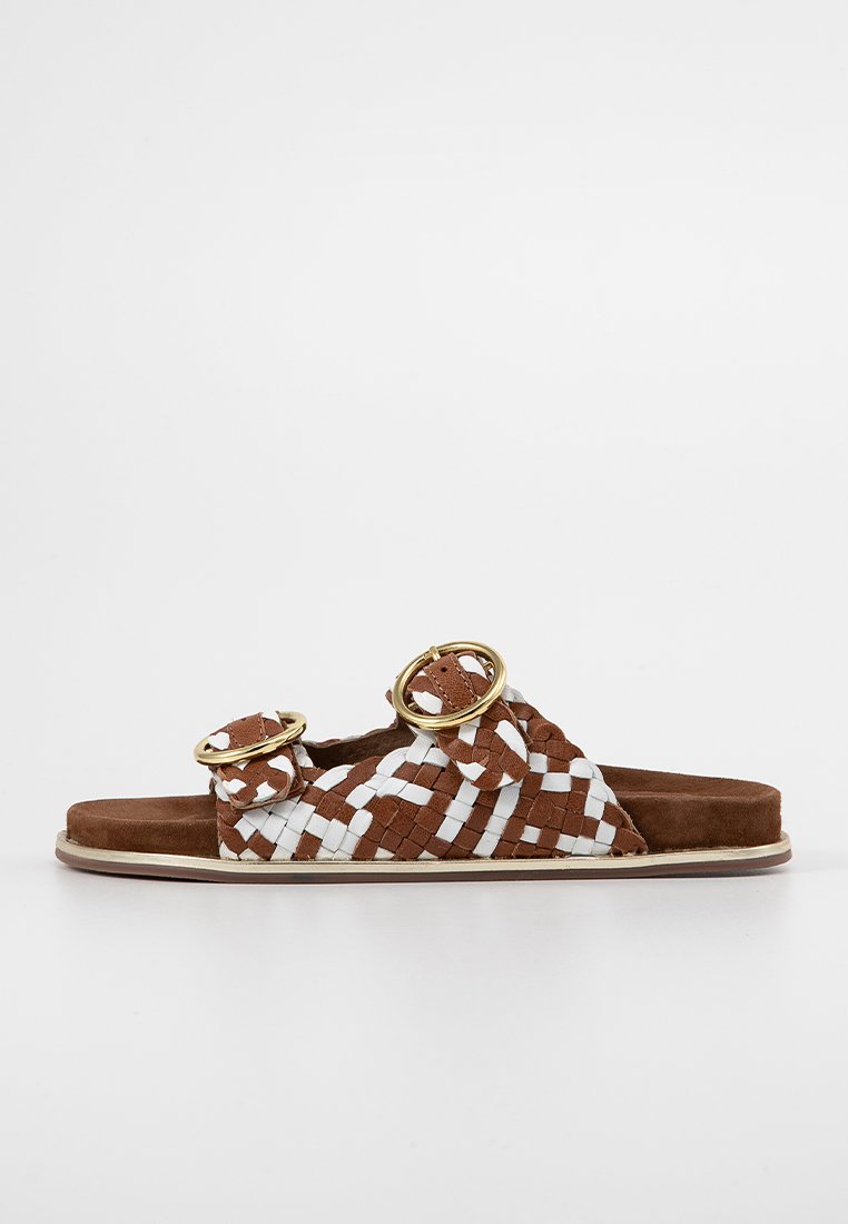 Cassis côte d’azur Muiltjes camel Cassis côte d’azur Muiltjes camel