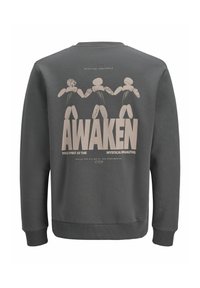 Grå sweatshirt med lange ærmer, der har et iøjnefaldende beige grafisk tryk på ryggen, inklusive figurer og tekst, der siger "AWAKEN."