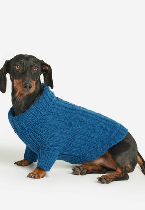 Falconeri, UNISEX, błękit królewski