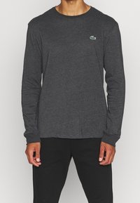 Långärmad grå skjorta i mjukt tyg, med en liten grön och röd Lacoste-logga på vänster bröst. Klassisk rund halsringning.