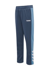 Navy Sporthosen mit hellblauem Seitenbesatz. Elastischer Bund, glatte Textur, mit markiertem Logo und Zickzackmuster an der Seite.