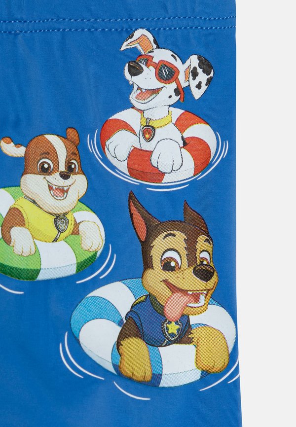 SWIMTRUNKS PAW PATROL - Swimming trunks3