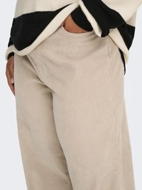 Beežid manakude püksid vertikaalsete triipudega, millel on keha järgi lõige ja küljetaskud. Pehme tekstuur on nähtav, osaliselt kaetud musta ja kreemika kampsuniga.