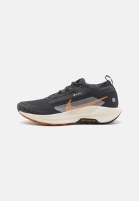 REACTX PEGASUS 5 GTX - Trail running shoes - off noir/pale ivory/black/monarch