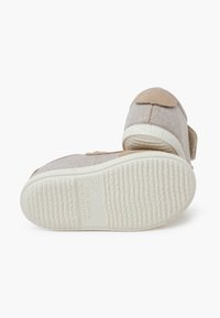 Pisamonas Trainers - arena