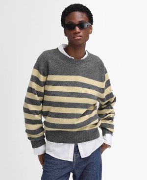 BARBOUR THE EDIT BY ALEXA DOMINIC KNITTED JUMPER - Jumper - derby grey/acacia stripe