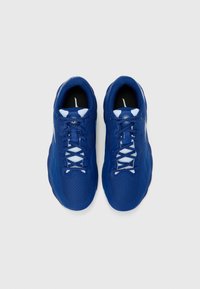 Mizuno WAVE ENFORCE COURT CLAY - Teniso bateliai molio dangos kortams - bellwether blue/white/fjord blue