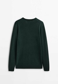 Pull à manches longues vert foncé à col rond avec poignets et ourlet côtelés, vu de dos sur un fond blanc uni.